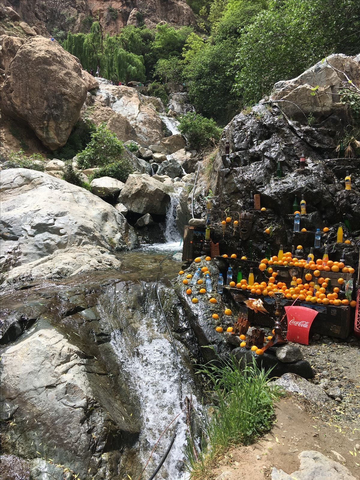 Tidli Forest & Isk Summit - 3